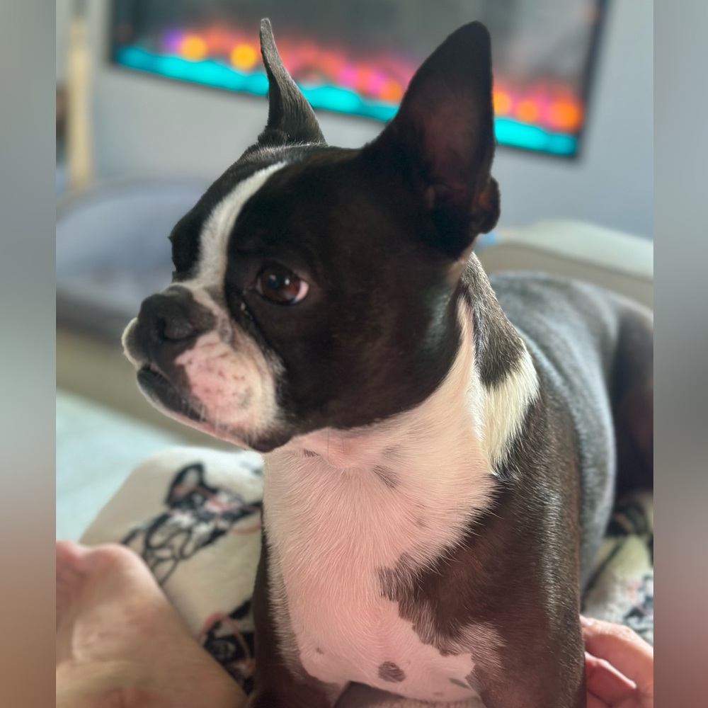 Meet your Posher, Liz